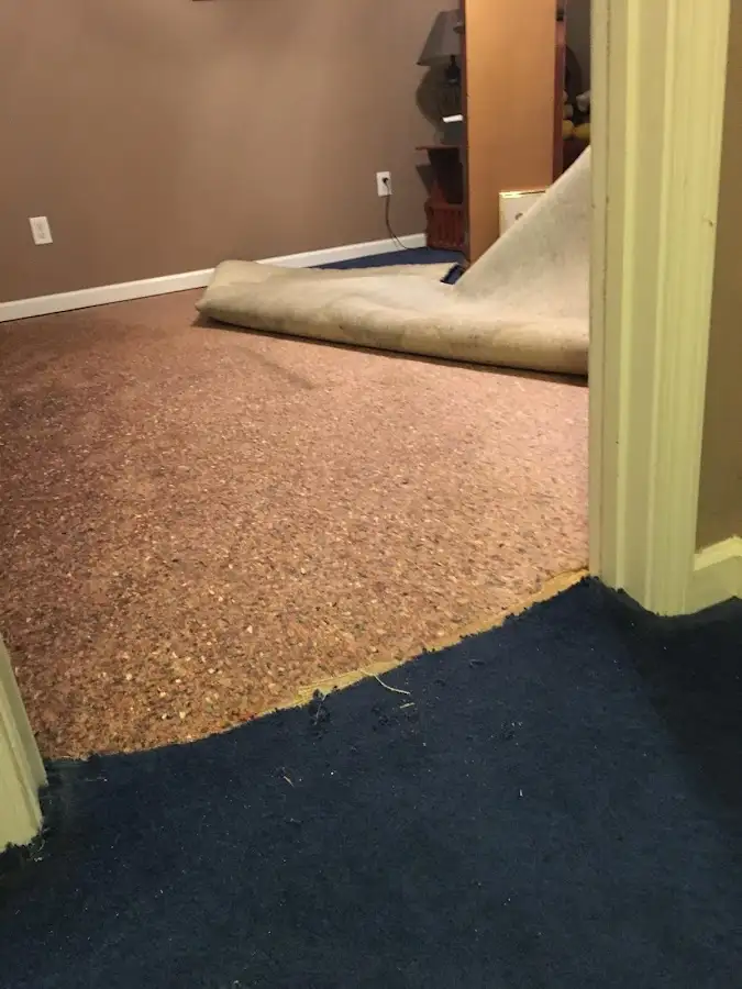 Carpet pad removal revealing water damage during Water Mitigation Services in Northridge