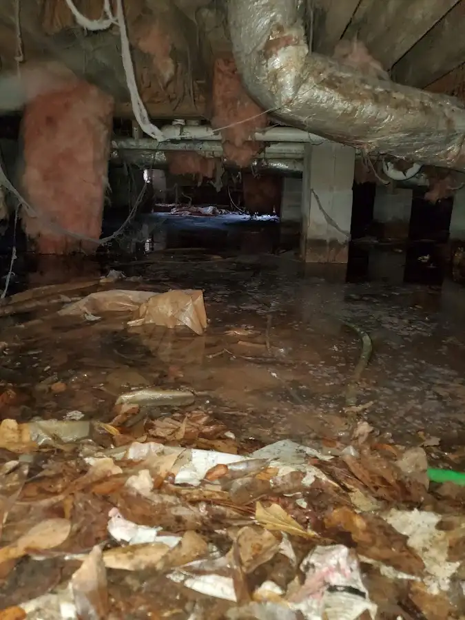 Crawl space flood assessment for Leak Detection & Repair in Northridge